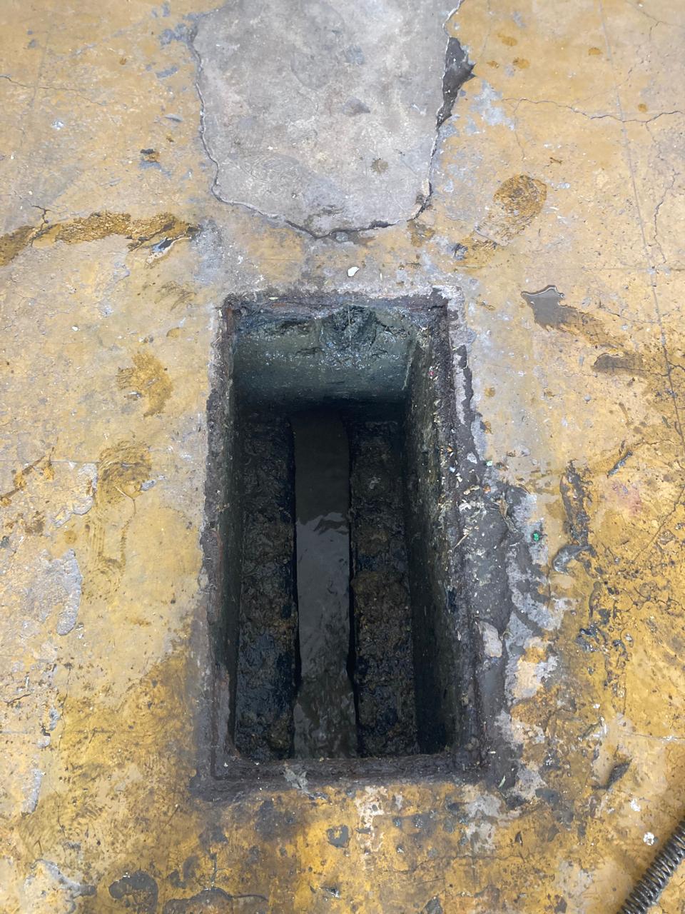 Destapacaños y desazolve de tuberías hidráulicas y sanitarias en la <b>Colonia Avante</b>