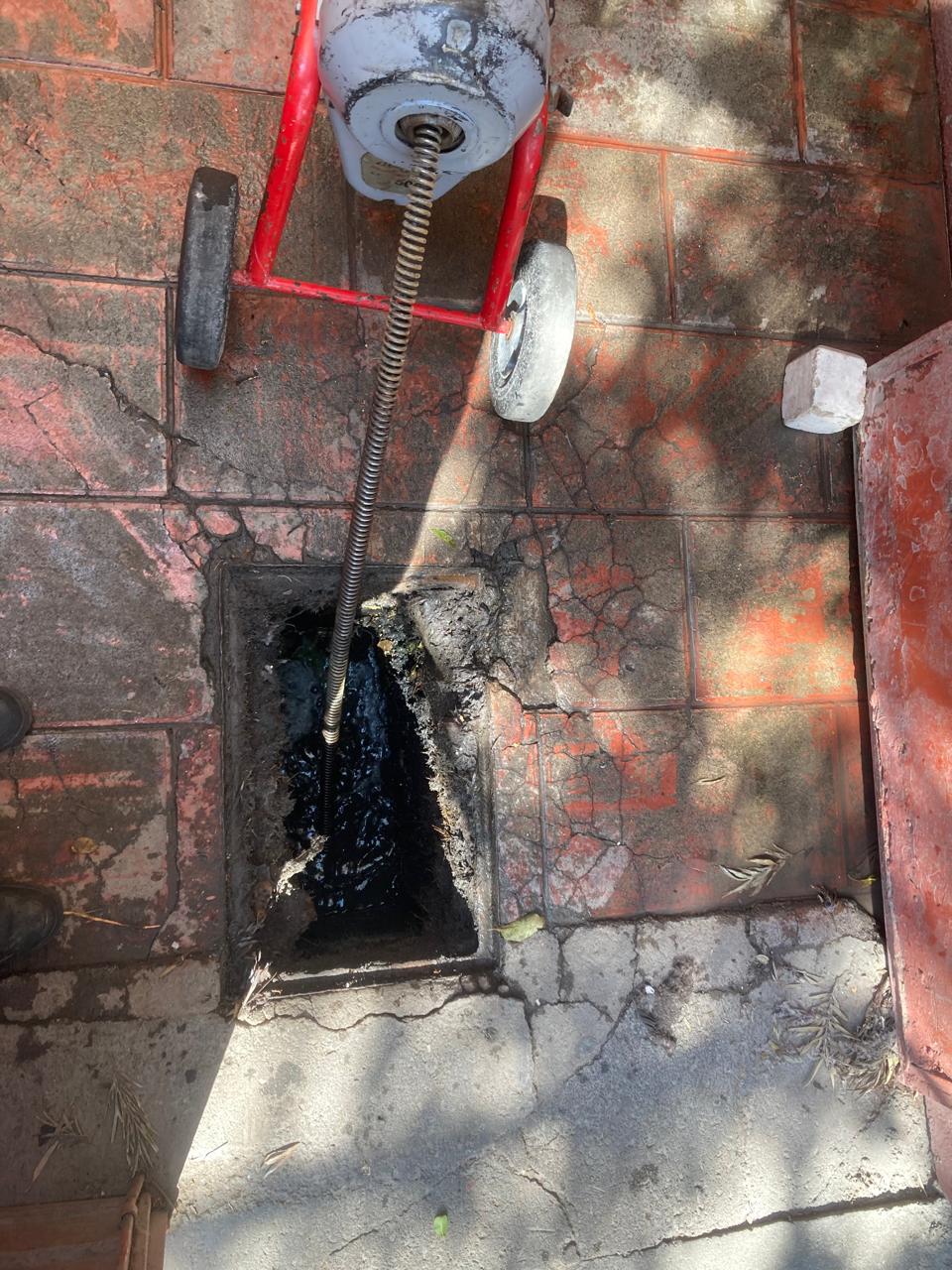 Destapacaños y desazolve de tuberías hidráulicas y sanitarias en la <b>Colonia Ciudad Universitaria</b>