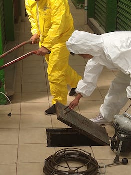 Servicio de fontanería y desazolve de tuberías sanitarias e hidráulicas en la <b>Colonia  Pensil Sur</b>